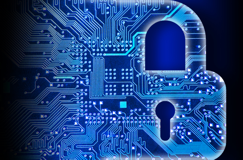 IT Security Precautions: Perform a Security Risk Assessment